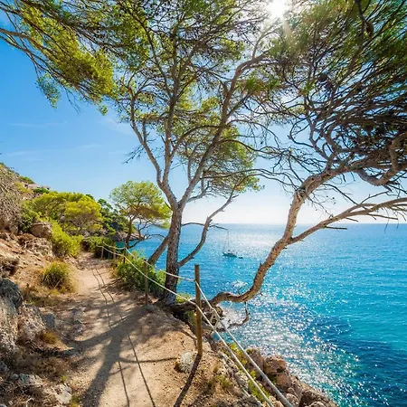 Massanet 2b Apartment Canyamel (Mallorca)